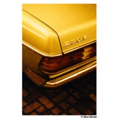 HARMAN Technology Red 125 Redscale Color Negative Film (35mm Roll Film, 36 Exposures)(Harman Technology Red 125 Redscale Color Negative Film 35mm Roll Film 36 Exposures) -Celestron Shop 1739515544 IMG 2425320