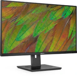 Philips 32B1U3900 31.5" 4K Monitor(Philips 32b1u3900 31 5 4k Monitor)