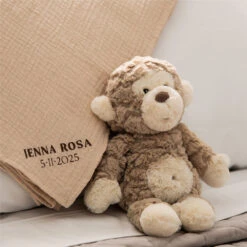 Cricut Explore 4 Smart Cutting Machine(Cricut Explore 4 Smart Cutting Machine) -Celestron Shop 1742898937 IMG 2457913