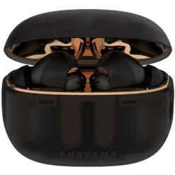 Creative Labs Aurvana Ace 2 True Wireless Noise-Canceling Earbuds(Creative Labs Aurvana Ace 2 True Wireless Noise Canceling Earbuds) -Celestron Shop 1746618480 IMG 2487106