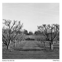 Kentmere PAN 200 Black & White Negative Film (120 Roll Film)(Kentmere Pan 200 Black White Negative Film 120 Roll Film) -Celestron Shop 1747048136 IMG 2490455