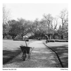 Kentmere PAN 200 Black & White Negative Film (120 Roll Film)(Kentmere Pan 200 Black White Negative Film 120 Roll Film) -Celestron Shop 1747048136 IMG 2490456