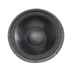 MCM Audio Select 55-2952 12" Woofer With Paper Cone And Cloth Surround - 175W RMS At 8 Ohm(Mcm Audio Select 55 2952 12 Quot Woofer With Paper Cone And Cloth Surround 175w Rms At 8 Ohm)