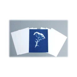 Cyanotype Store Cyanotype Paper (8 X 10", 12 Sheets, White)(Cyanotype Store Cyanotype Paper 8 X 10 12 Sheets White)