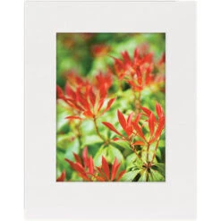 Lineco Conservation Full-Size Mat Board (10 Sheets, 32 X 40", White)(Lineco Conservation Full Size Mat Board 10 Sheets 32 X 40 White)