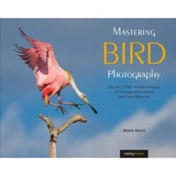 Marie Read's Mastering Bird Photography: The Art, Craft, And Technique Of Photographing Birds And Their Behavior(Marie Reads Mastering Bird Photography The Art Craft And Technique Of Photographing Birds And Their Behavior)
